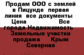 Продам ООО с землей в Пицунде, первая линия, все документы › Цена ­ 9 000 000 - Все города Недвижимость » Земельные участки продажа   . Крым,Северная